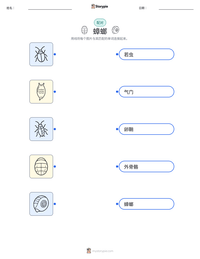 蟑螂 可打印工作表预览
