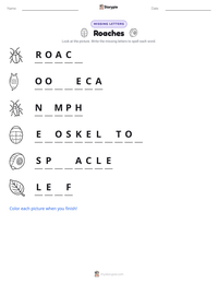 Roaches printable worksheet preview