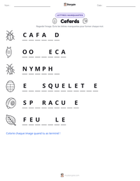 Aperçu de la feuille de travail imprimable Cafard