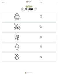 Roaches printable worksheet preview