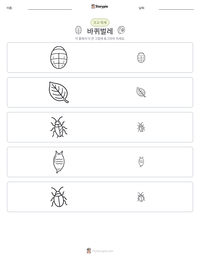 바퀴벌레 인쇄 가능한 워크시트 미리보기