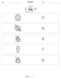 蟑螂 可打印工作表预览