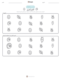 معاينة ورقة العمل القابلة للطباعة صرصور