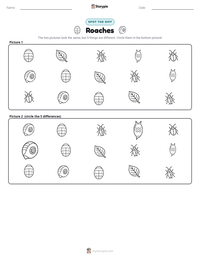 Roaches printable worksheet preview