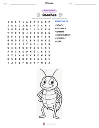 Roaches printable worksheet preview