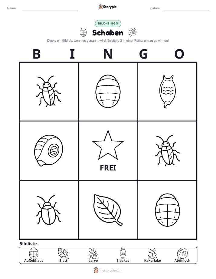 Bild-Bingo
