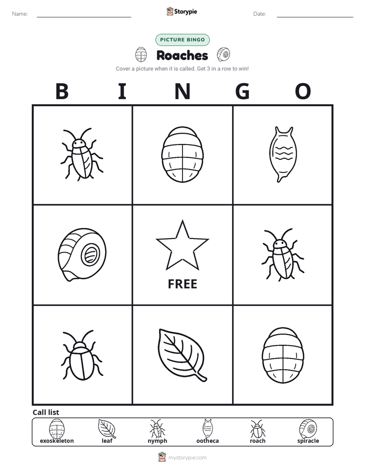 Picture Bingo