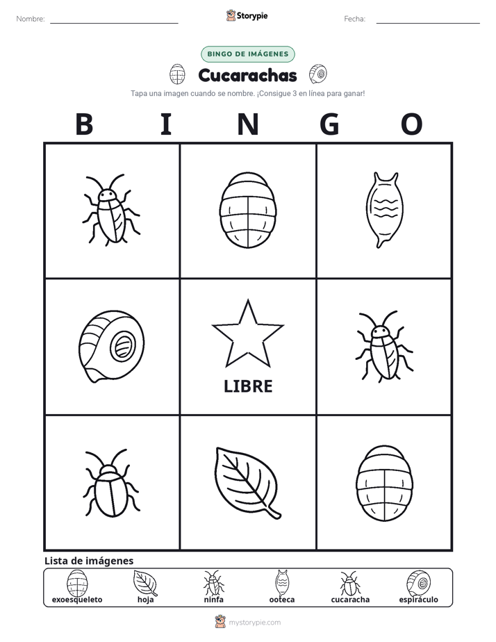 Bingo de Imágenes