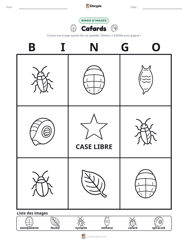 Bingo d'Images