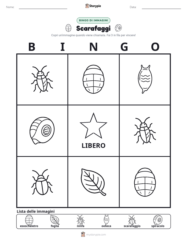 Bingo delle Immagini