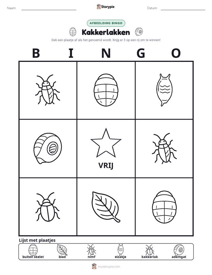 Afbeelding Bingo