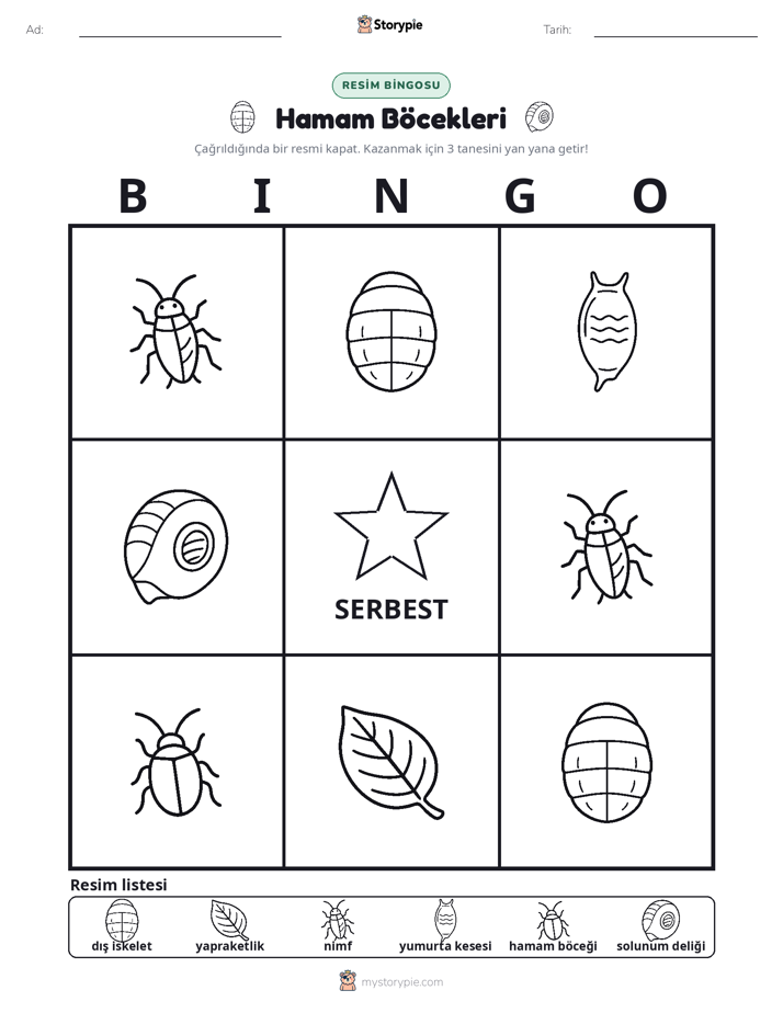 Resim Bingo