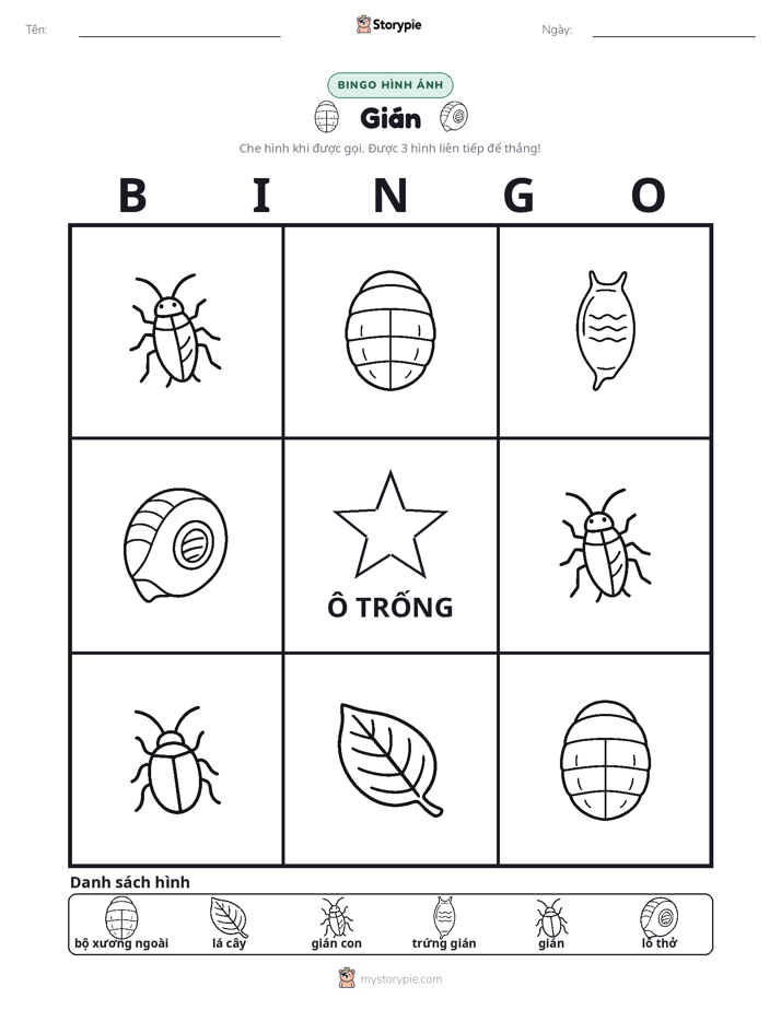 Bingo Hình Ảnh