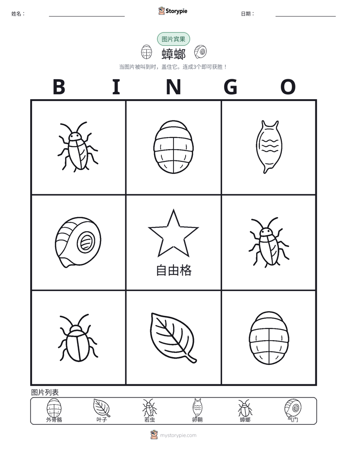 图片宾果