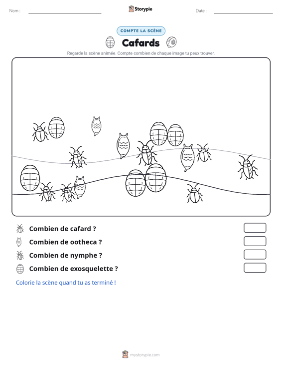 Scène de Comptage