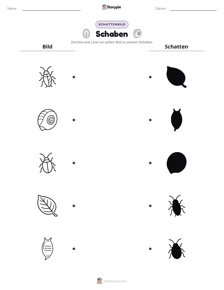 Schattenmatch