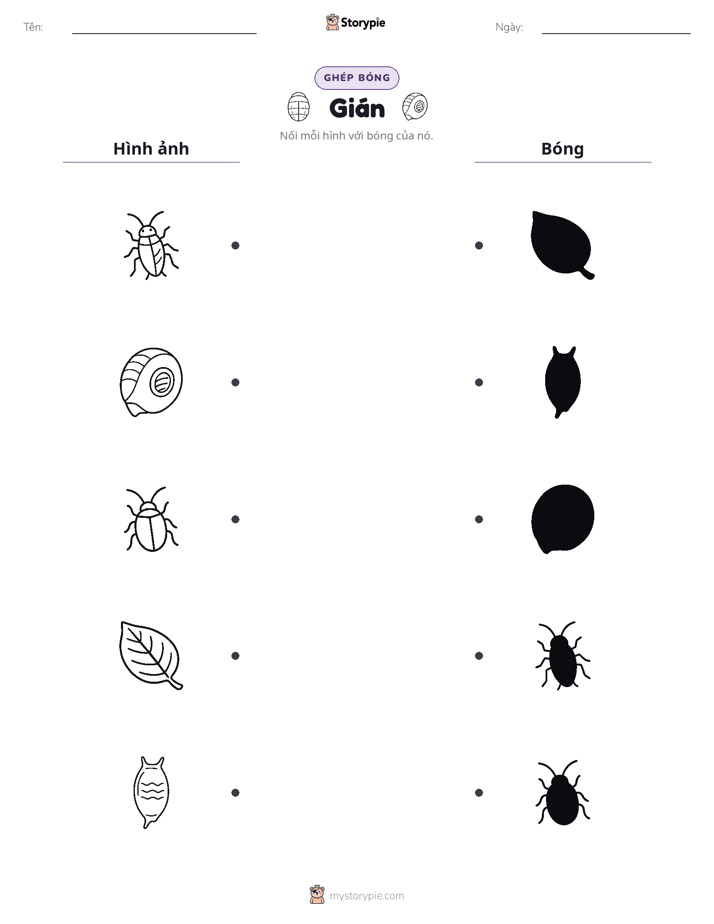 Ghép Hình Bóng