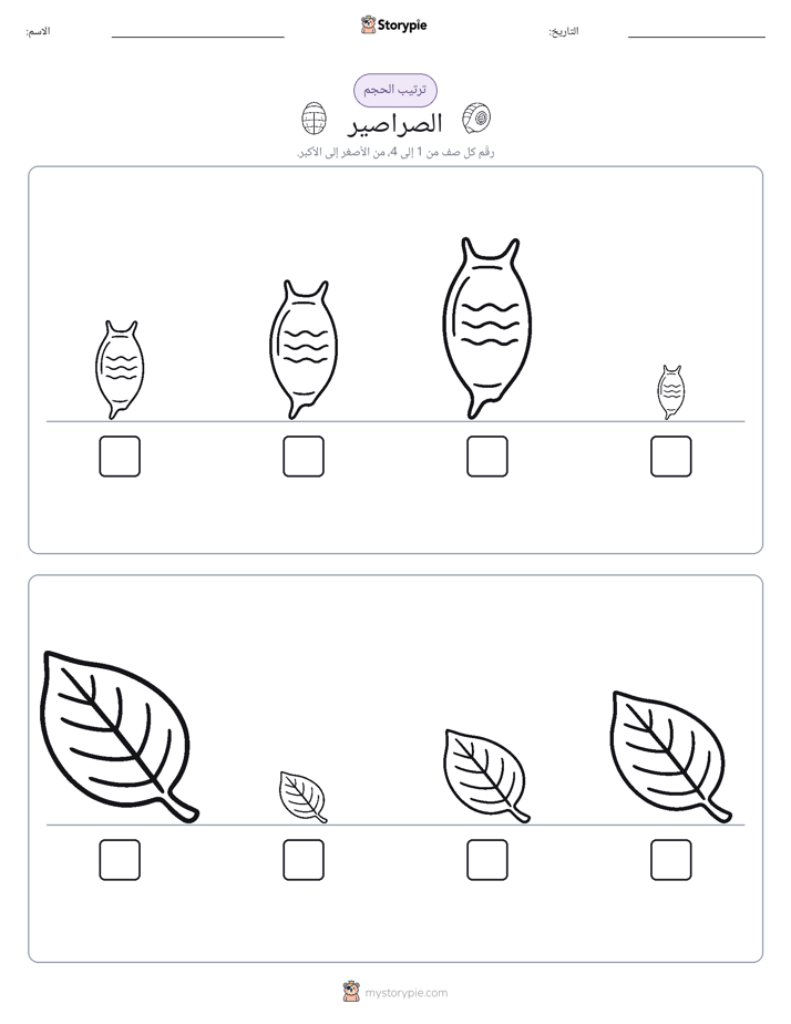 ترتيب الحجم