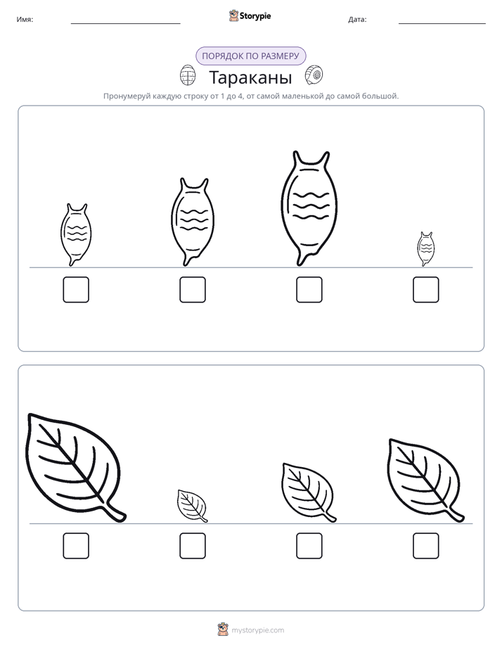 Размеры в порядке