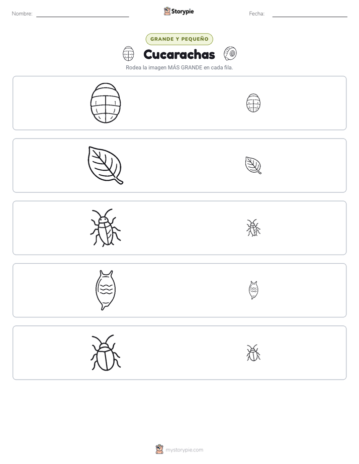 Clasificación