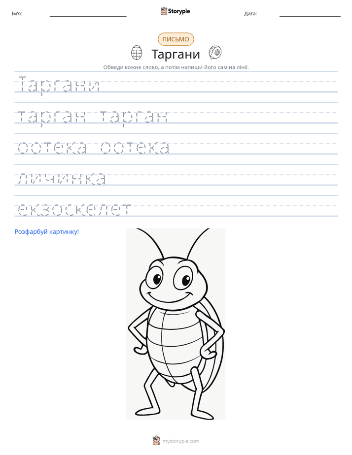 Практика письма
