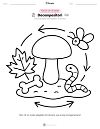 Pagina da colorare di Decompositori per bambini