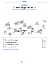 Xem trước tài liệu in sẵn Sinh vật phân hủy