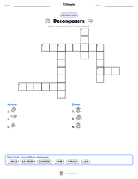 Decomposers printable worksheet preview