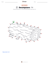 Decomposers printable worksheet preview