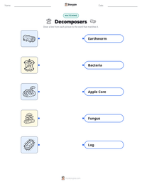 Decomposers printable worksheet for kids