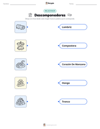 Vista previa de la hoja de trabajo imprimible de Descomponedores