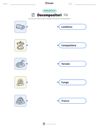 Scheda stampabile di Decompositori per bambini