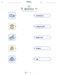 ผู้ย่อยสลาย ตัวอย่างแบบฝึกหัดที่พิมพ์ได้
