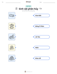 Xem trước tài liệu in sẵn Sinh vật phân hủy