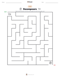 Decomposers printable worksheet preview