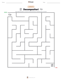 Anteprima della scheda stampabile di Decompositori