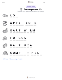Decomposers printable worksheet preview