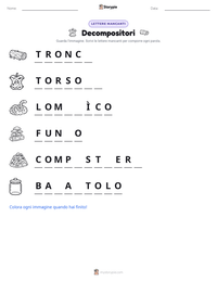 Anteprima della scheda stampabile di Decompositori