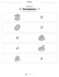 Decomposers printable worksheet preview