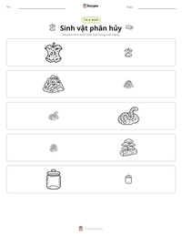 Xem trước tài liệu in sẵn Sinh vật phân hủy