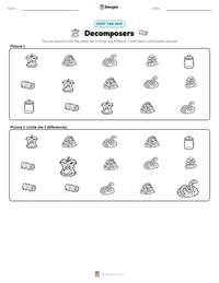 Decomposers printable worksheet preview
