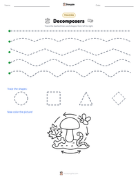 Decomposers printable worksheet preview