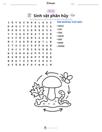 Xem trước tài liệu in sẵn Sinh vật phân hủy