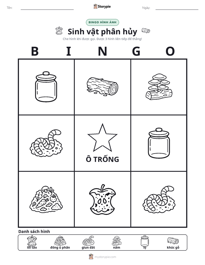 Bingo Hình Ảnh