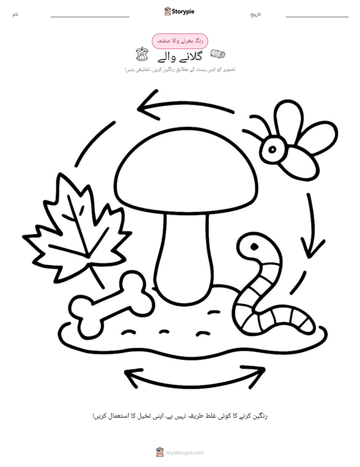 رنگ بھرنے کا صفحہ