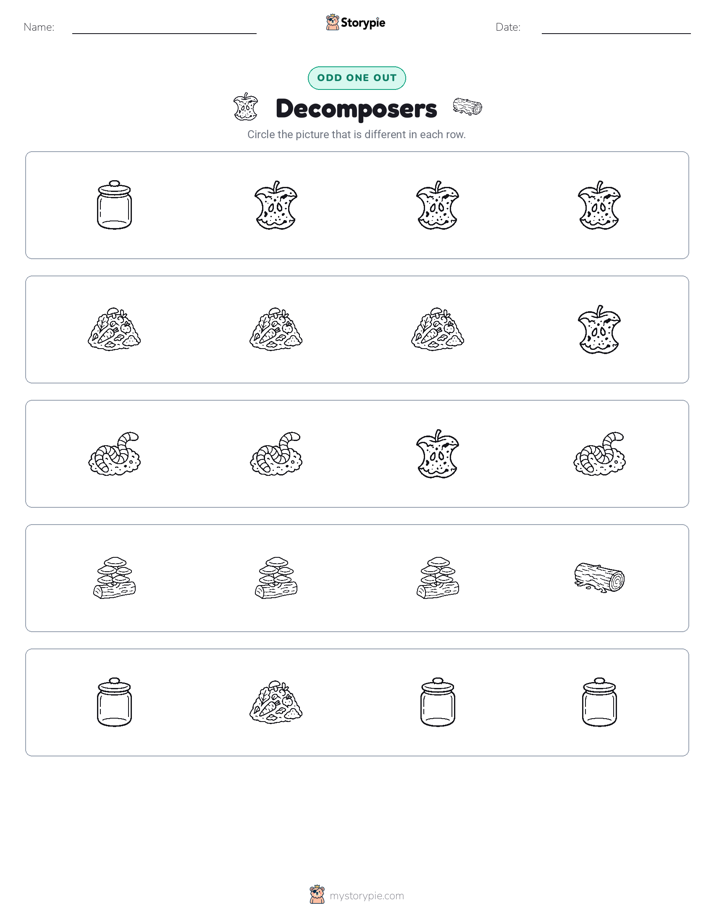 Odd One Out