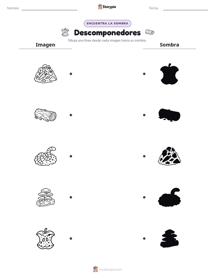 Coincidencia de Sombras