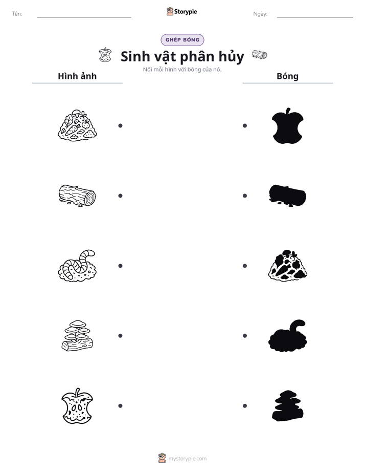 Ghép Hình Bóng
