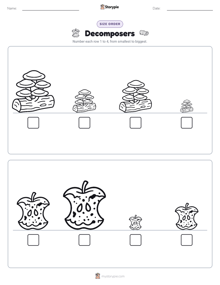 Size Order