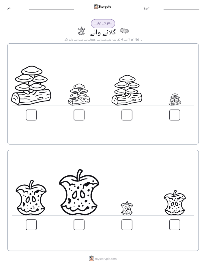 سائز کی ترتیب